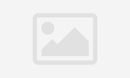 Professional Technical Trading Program